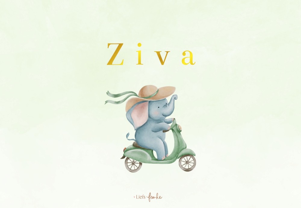 Geboortekaartje Ziva - meisje olifantje op fiets