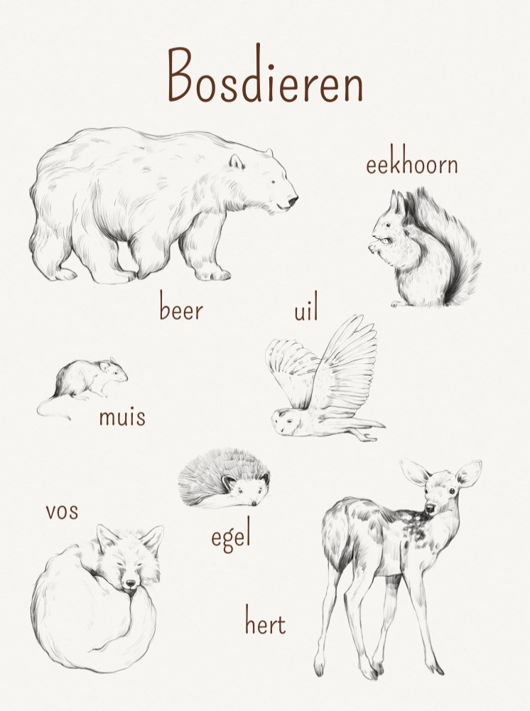 Poster bosdieren praatplaat