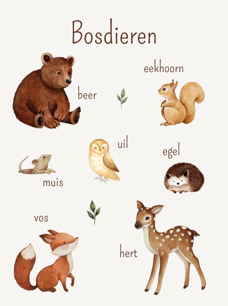 Poster bosdieren gekleurd praatplaat